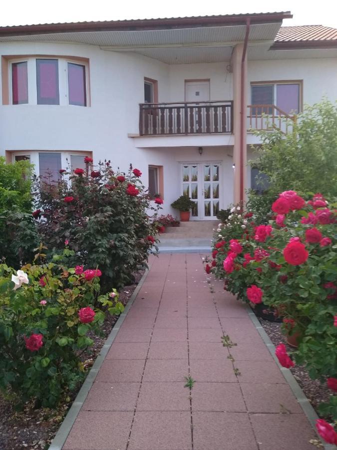 Casa Doina Hotel ดูอาเซชิ ซิ เตร ออกุสต์ ภายนอก รูปภาพ